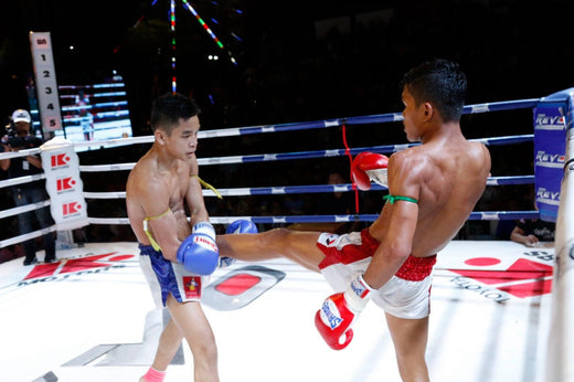 Muay Thai Defense - Muay Thailand