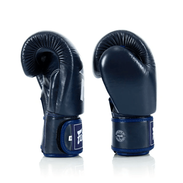 Fairtex X ONE Muay Thai Gloves - Blue (BGV1) - Muay Thailand