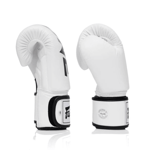 Fairtex X ONE Muay Thai Gloves - White (BGV1) - Muay Thailand