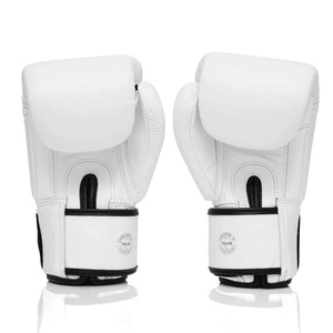 Fairtex X ONE Muay Thai Gloves - White (BGV1) - Muay Thailand