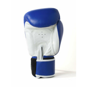 Sandee Muay Thai Gloves - Blue & White - Muay Thailand